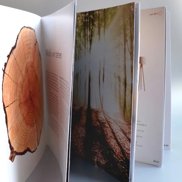 DOMUS – Licht zum Wohnen GmbH: 3 DOMUS Katalog 2010