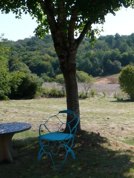 Louis Chair in Türkis im Garten unter einem Baum