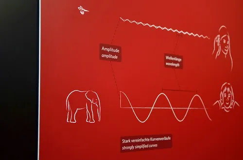 Rote Wandgrafik zu Amplitude und Wellenlänge mit Elefant und Mücke